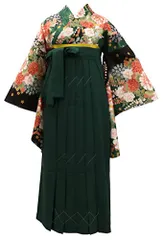 [きもの京小町] 卒業式 はかま セット レディース 大学生 ジュニア 二尺袖 無地 袴 2点セットri