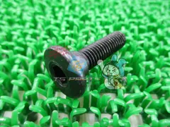 ゼファー400 χ ステップホルダーボルト 在庫有 即納 カワサキ 純正 新品 バイク 部品 車検 Genuine ゼファーカイ ゼファー550 mQ