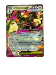 メガキャンペーン ピカチュウ ヤミラミ - メルカリ