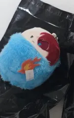僕のヒーローアカデミア ヒロアカ 轟 焦凍 くるみたぴぬい ぬいぐるみ
