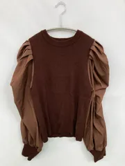 ems excite エムズエキサイト ニット/セーター F ブラウン 無地 ショート丈 長袖 クルーネック(丸首)