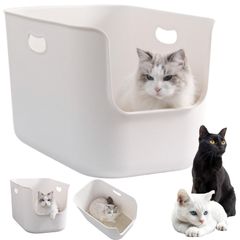 Item thumbnail for item 8b03483e-6d51-4192-8ad9-4a3560d7cd6e