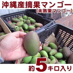 沖縄 摘果マンゴー グリーンマンゴー 10kg - メルカリ