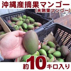 グリーンマンゴー 70個 約10kg - メルカリ