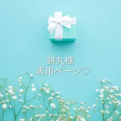 餅丸様専用ページ♡速達便