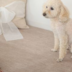 Item thumbnail for item fd006b2a-cff7-4f6a-b6ce-f11c3bf715a2