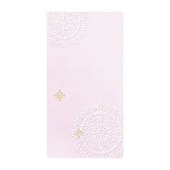 【新品】 マルアイ 祝儀袋 のし袋 大人のお礼 無地 25枚 ノ-レ1×5P 1