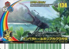 2026年最新】インペラトールホソアカクワガタの人気アイテム - メルカリ