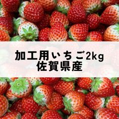 大容量】朝採り 紅ほっぺ 極小粒 〜農家直送〜 いちご - メルカリ
