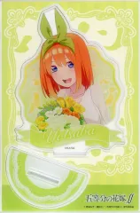 【中古】アクリルスタンド・アクリルパネル 中野四葉(花束ver.) ビッグアクリルスタンド 「映画 五等分の花嫁」 ダイソー限定