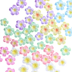 プルメリア デコ パーツ 70個７色 ハイビスカス ネイル アクセサリー キャラクター レジン 花 造花 キット (小（約2.2cm）) [小（約2.2cm）]