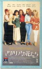 VHS 비디오 / 샐리 필드 / 줄리아 로버츠 / 목련 꽃들 / H00027589