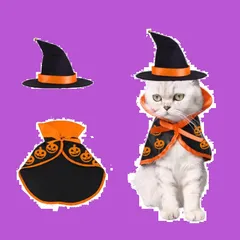 黒 ケープ 悪魔 かぼちゃ ベル付き 変身服 かぶりもの 魔女帽子 仮装 クリスマス ペット マント 帽子 写真撮影 ハロウィン ハロウィン 2個セット 猫用 犬 コスプレ (ブラック+オレンジ) コスチューム ペット服