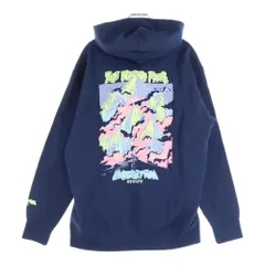 THE NORTH FACE (ザノースフェイス) 25AW EXPEDITION GRAPHIC HOODIE エクスペディショングラフィック プルオーバーフーディー パーカー ネイビー NT62531R
