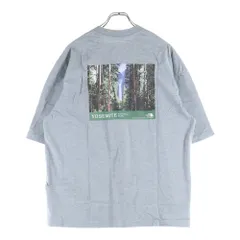 THE NORTH FACE (ザノースフェイス) 胸ロゴデザイン クルーネック カットソー半袖Tシャツ グレー NT32436