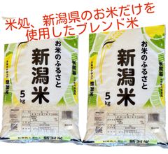 顆粒柿渋 粉末柿渋 500g お湯で溶かすと16.5L分の柿渋液になります