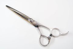 Item thumbnail for item 23d85b5f-2217-47cc-8a15-d454283a2217