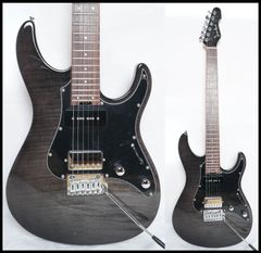 Bacchus BST-TW NS＋新品弦＋ケーブル - メルカリ