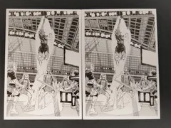 eb332 【エラーカード】裏面ダブルプリント ハイキュー カード 日向翔陽 ドンジャンプ 鴎台戦 原画 コマ 場面写 カード 2枚セット 烏野高校 春高バレー スパイカー ジャンプショップ ジャンショ アニメグッズ