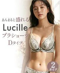 ブラジャー ショーツ セット ノンワイヤー 盛れる きれいな谷間 補正ブラ 超盛 ブラ 育乳 脇高 脇肉 ブラショーツ かわいい ブラセット 韓国D