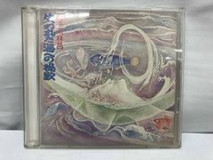百鬼夜行 捻れたアヒル CD 初音ミク ボカロ 同人 - メルカリ
