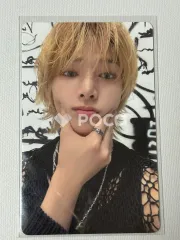 straykids アイエン Stray Kids World Tour dominATE SEOUL 購入特典