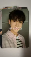 &TEAM HARUA ハルア &TEAM OFFICIAL LIGHT STICK