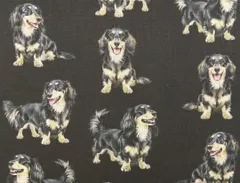 【ゆきちゃん限定】X2731 ダックス ブラック＆クリーム 黒系 コットン生地 1m