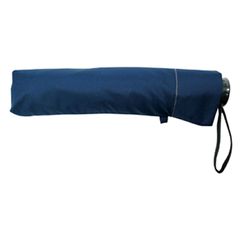 Item thumbnail for item fb491cfc-e119-47c6-bb80-1773665ccad3