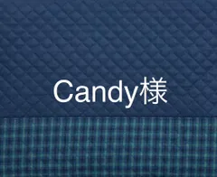 ♡Candy♡ 様専用です　レッスンバッグ＊シューズケース