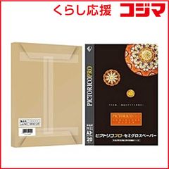 PICTORICO PRO ピクトリコプロ 写真用紙 A3+ 40枚 - メルカリ