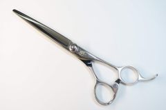 Item thumbnail for item 191ec642-86df-4fe5-92d5-f395ba8ca4d8