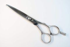 Item thumbnail for item c2835683-af9f-41bc-bcb9-3a9d2acf5f7e