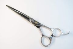 Item thumbnail for item 2c644199-4eeb-4207-8269-a33faadaa256