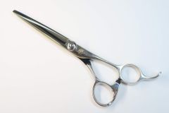 Item thumbnail for item 8c06f4ea-492c-4fdb-84a5-cac6f84180a9