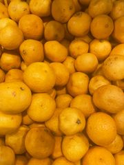 十郎梅（訳あり）10kg 神奈川県小田原産 梅干し・梅酒に - メルカリ