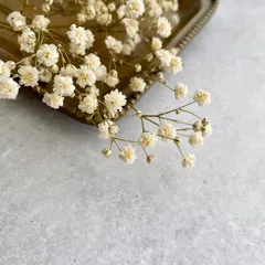 あけりんこさま専用ページ