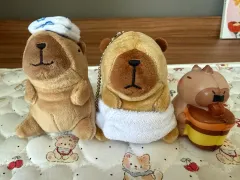 カピバラキーホルダーとぷにぷにセット