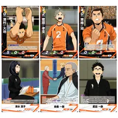 ハイキュー!! バボカBREAK 烏野高校3年生中心6枚セット 澤村大地 菅原孝支 東峰旭 清水潔子 烏養一繋 武田一鉄