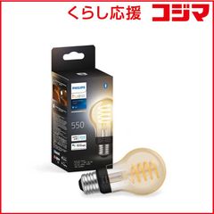 フィリップス Hueホワイトグラデーション スターターセット PLH29GS