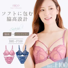 新品★未使用 E80 ~ E100 ブラジャー ショーツ B85-F100 大きいサイズ セクシー ソフトワイヤー × 脇高 (J-7047-ef)[メール便不可]【ブラセット アンダー100 下着 レディース 上下セット】