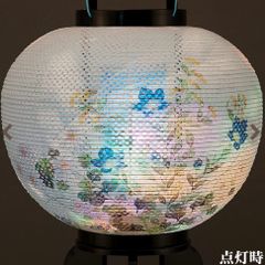 Item thumbnail for item c68e74d4-03cb-4db4-b5e9-6e1d29ec188f