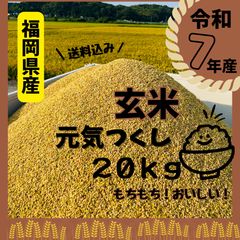 色彩選別済【保冷庫直送】福岡県産 令和7年産 元気つくし 玄米20kg