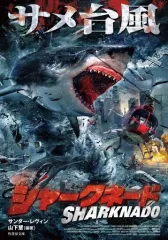 2026年最新】サメ台風の人気アイテム - メルカリ