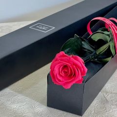 三浦春馬 ハルコレ 薔薇 メッセージカード - メルカリ