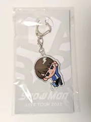 Snow Man 渡辺翔太 すのチル ぶら下がりシリーズ アクリルキーホルダー LIVE TOUR 2022 Labo.