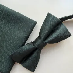 ①-4  蝶ネクタイ　ポケットチーフ2点セット