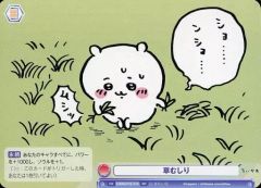 Item thumbnail for item d880fca5-4c8d-4b94-9e7e-077f06b9a6e0