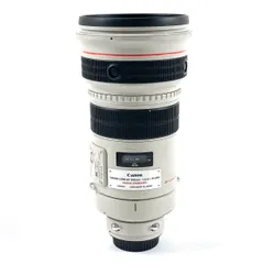 2026年最新】EF300mm F2.8L ISの人気アイテム - メルカリ