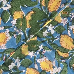 OHANA様　専用ページ　インド ブロックプリント生地